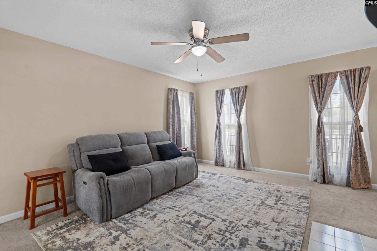 221 Colony Lakes Drive Photo 7