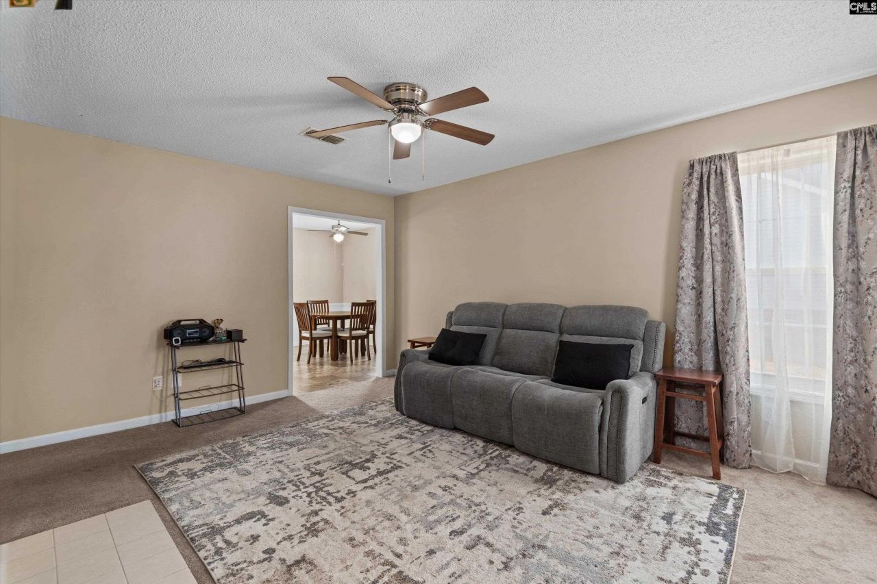 221 Colony Lakes Drive Photo 8