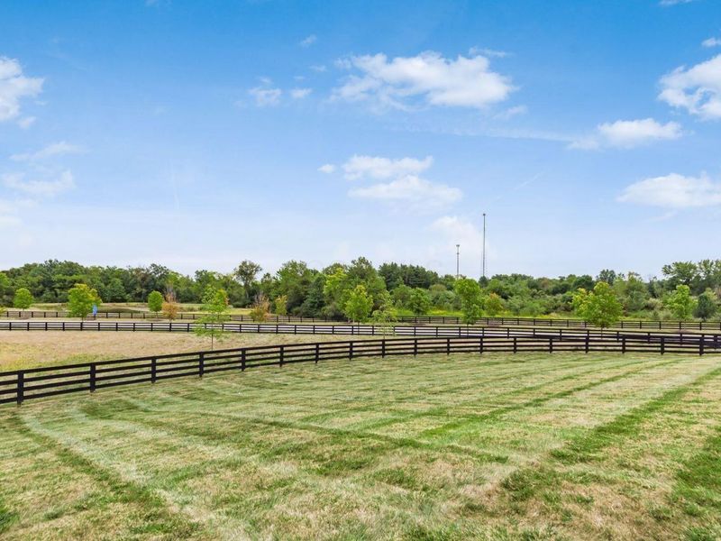 7872 Sparrow Run Drive, Plain City, OH 43064 Photo 18