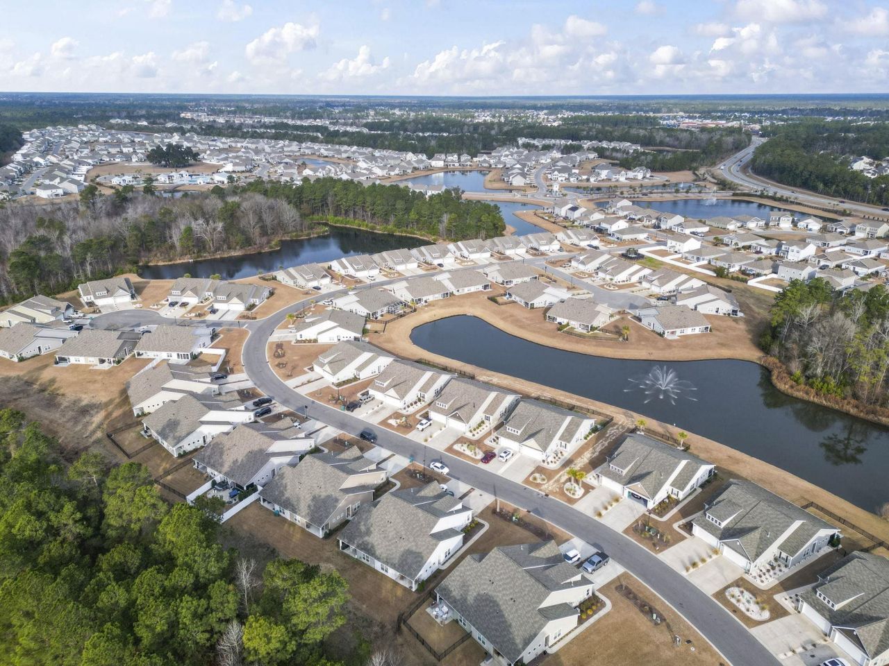 1808 Berkley Village Loop Photo 21