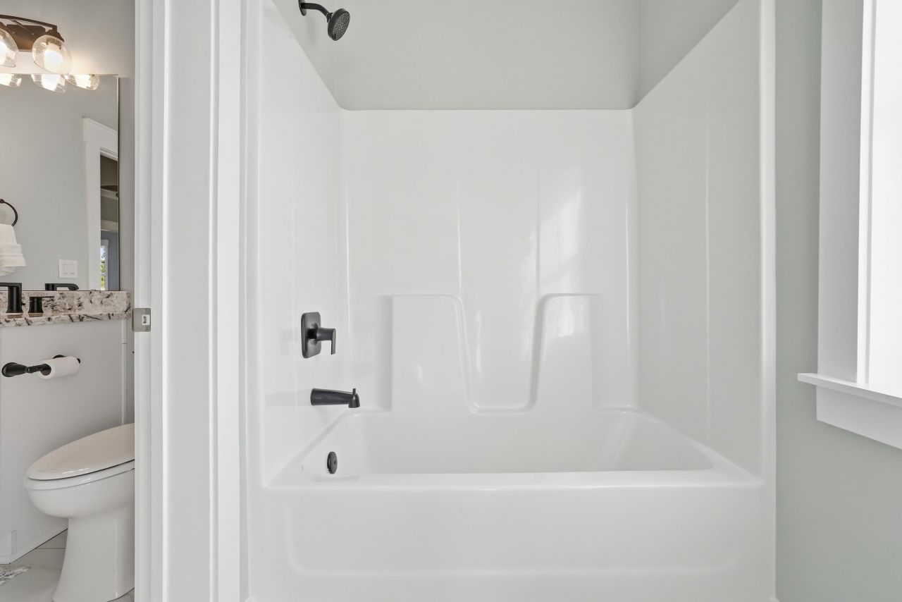 Tbb Lineback Pl. Photo 23