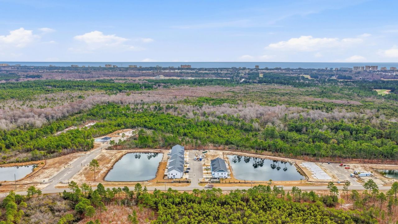 Tbb Lineback Pl. Photo 38