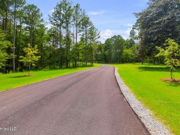 Springwood Trail, Flora, MS 39071