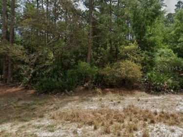 131 EDGEMERE DRIVE, GEORGETOWN, FL 32139