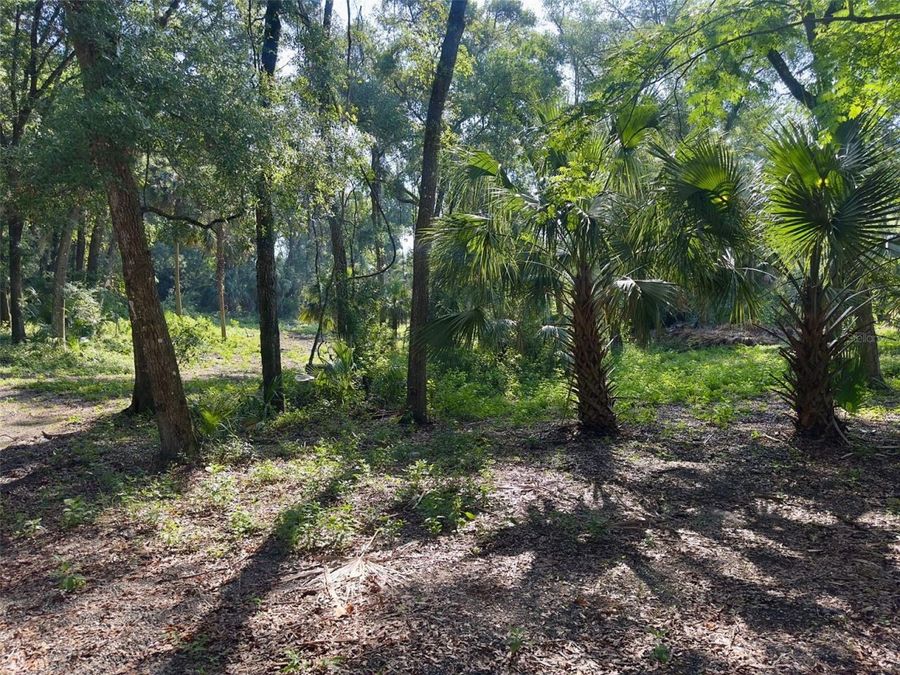 Property Image 8