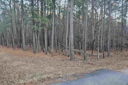 0 Hollands Landing Road  photo 4