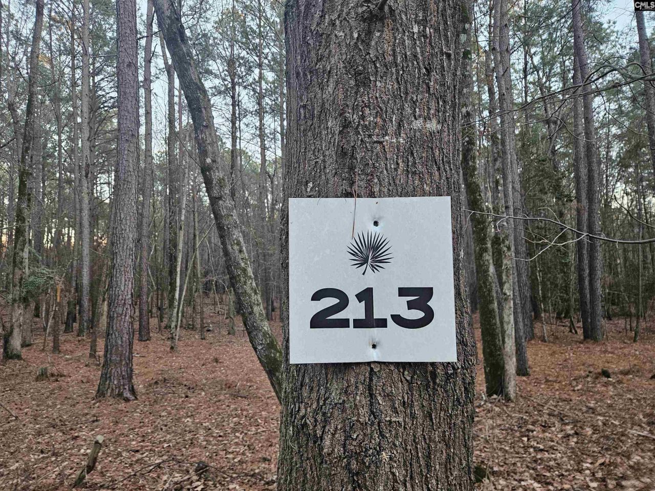 0 Hollands Landing Road  Photo 4