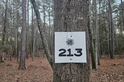 0 Hollands Landing Road  photo 4