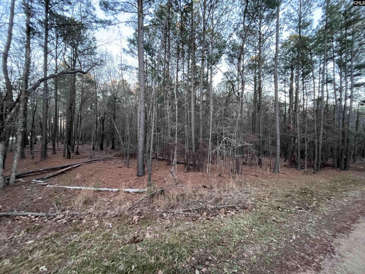 0 Hollands Landing Road  Photo 7