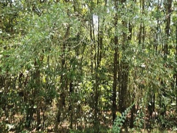 0 Mill House Drive S, Mobile, AL 36619