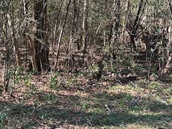 0 Cary Hamilton Road, Theodore, AL 36582