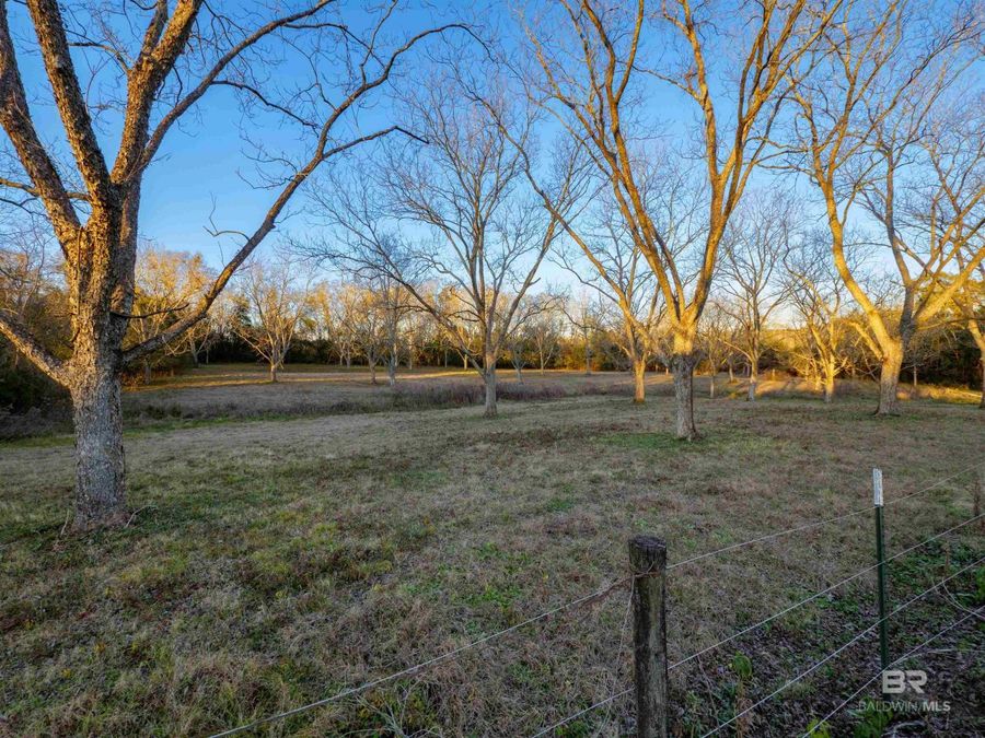 Property Image 65