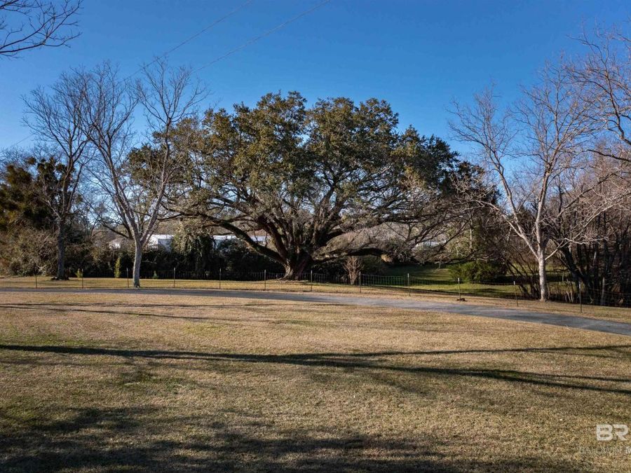 Property Image 67
