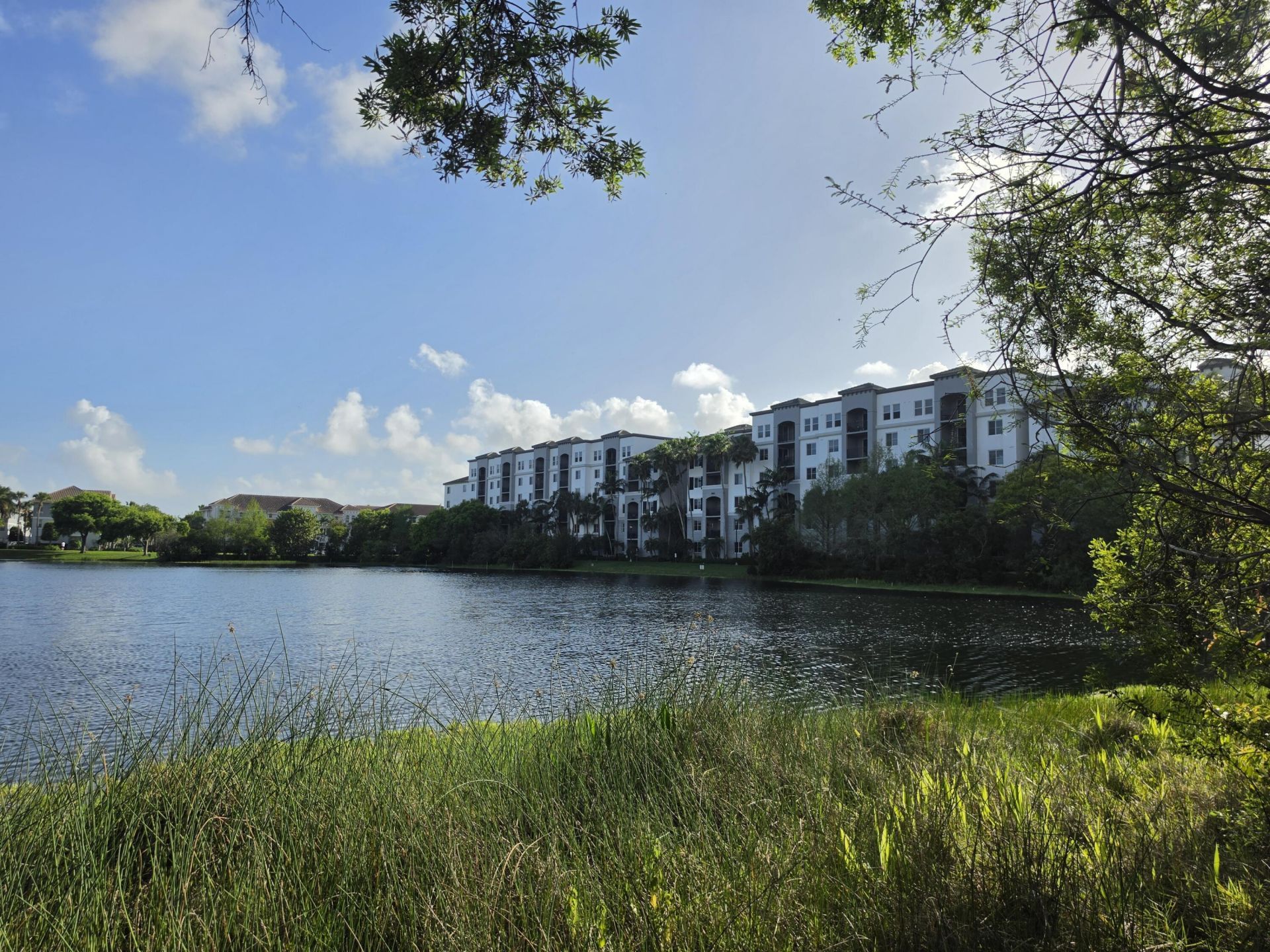 1690 Renaissance Commons Boulevard, Unit 1429, Boynton Beach, FL 33426 Photo
