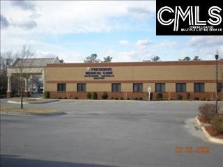 307 E Columbia Avenue Photo 4