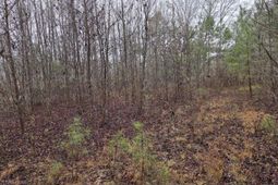 00 Calamus Pond Road photo 4