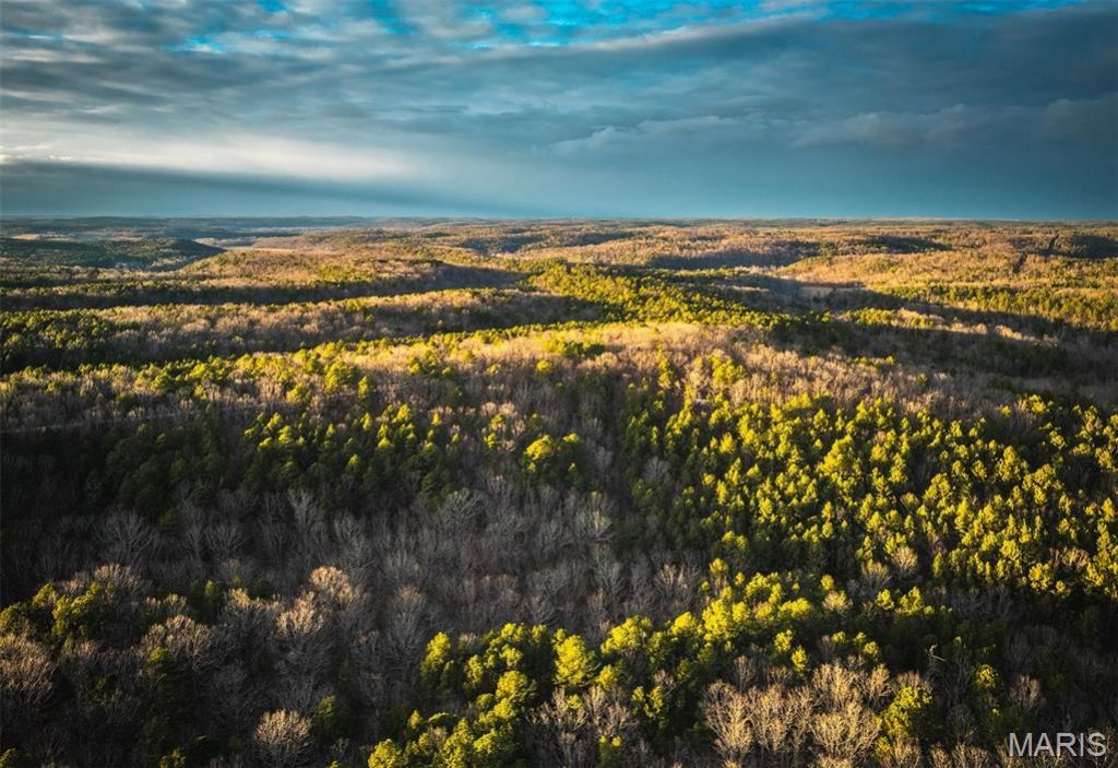 56ac Slaughter Road, Licking, MO 65542 Main Photo