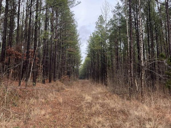 0 CR 324 RD W, Iuka, MS 38852
