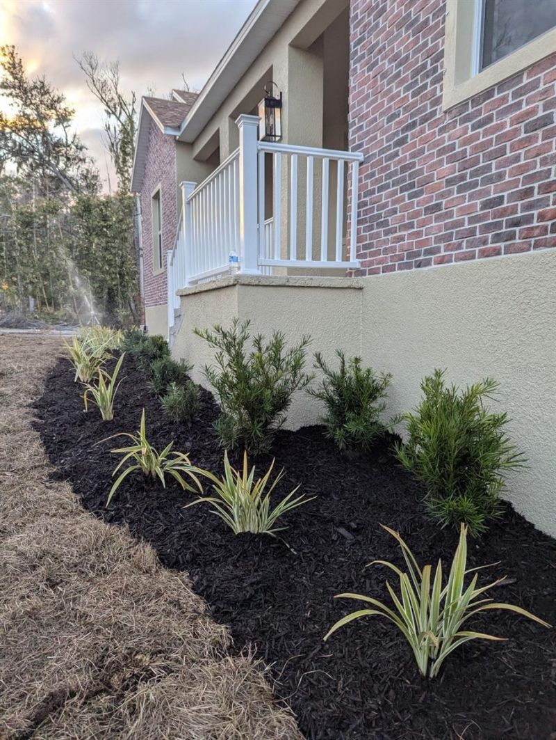 8312 Revels Road, Riverview, FL 33569 Photo