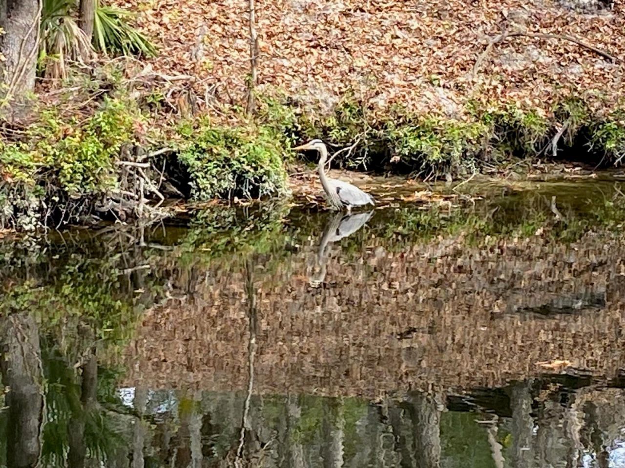 8312 Revels Road, Riverview, FL 33569 Photo