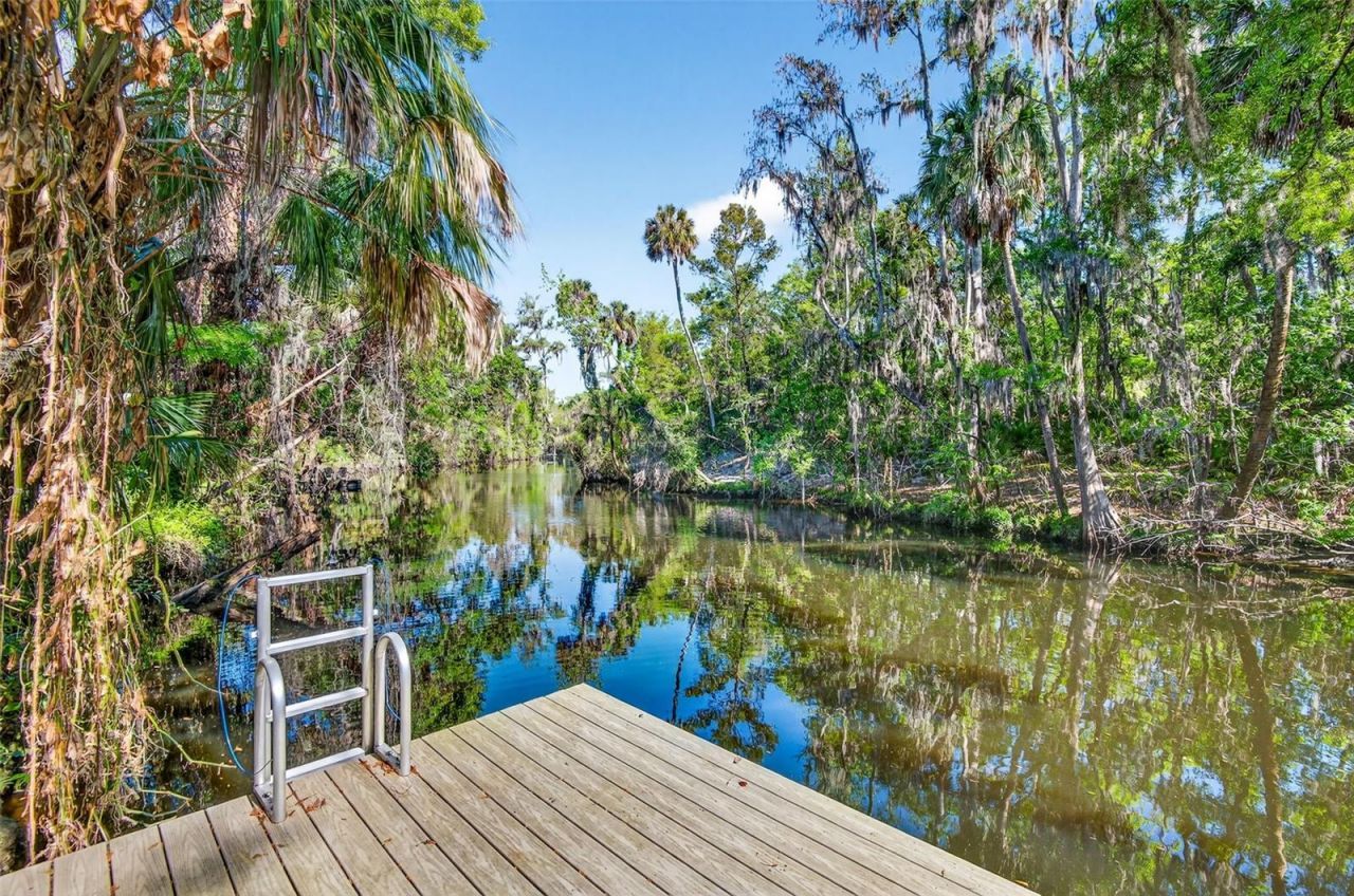 8312 Revels Road, Riverview, FL 33569 Photo