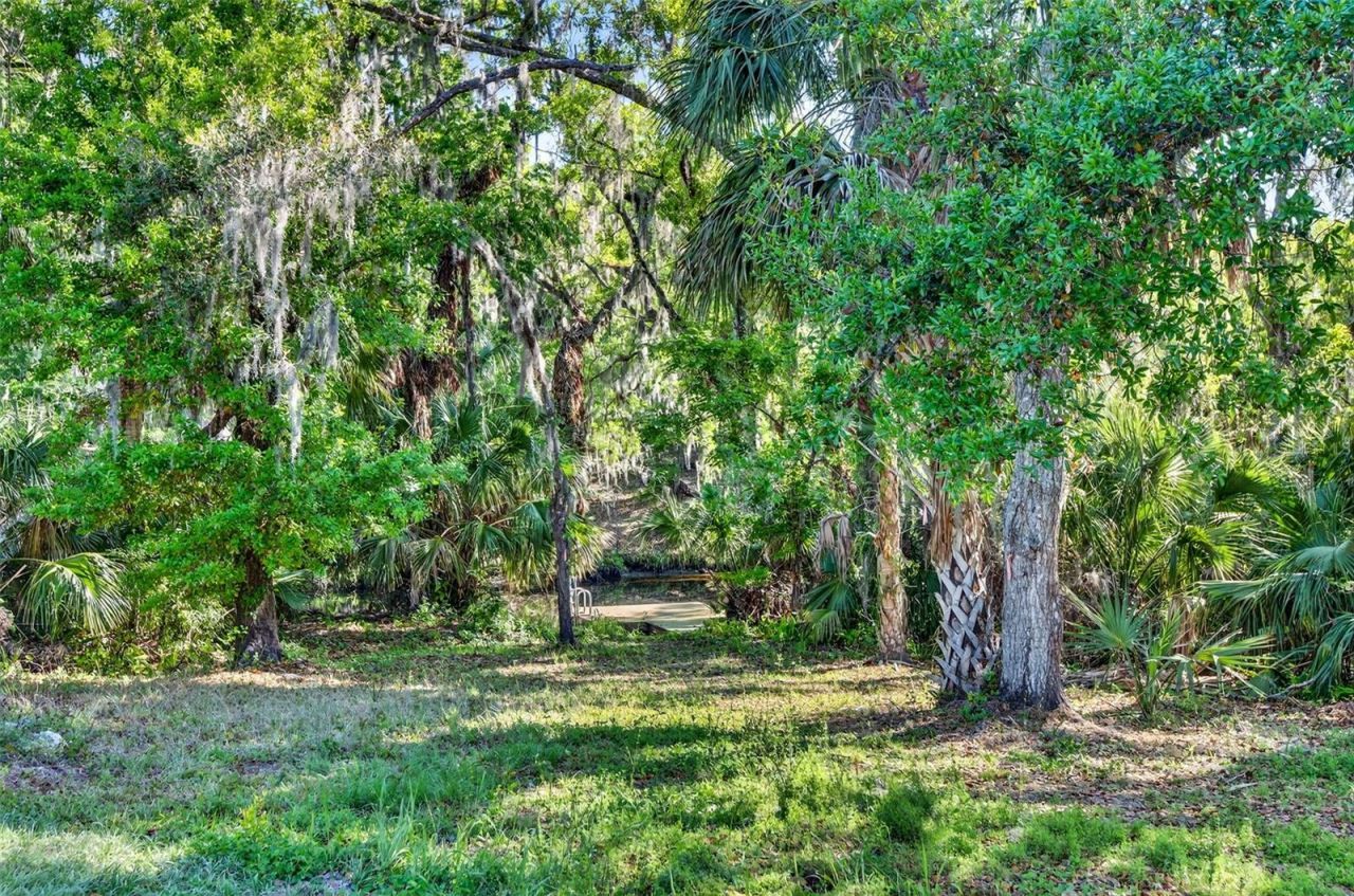 8312 Revels Road, Riverview, FL 33569 Photo