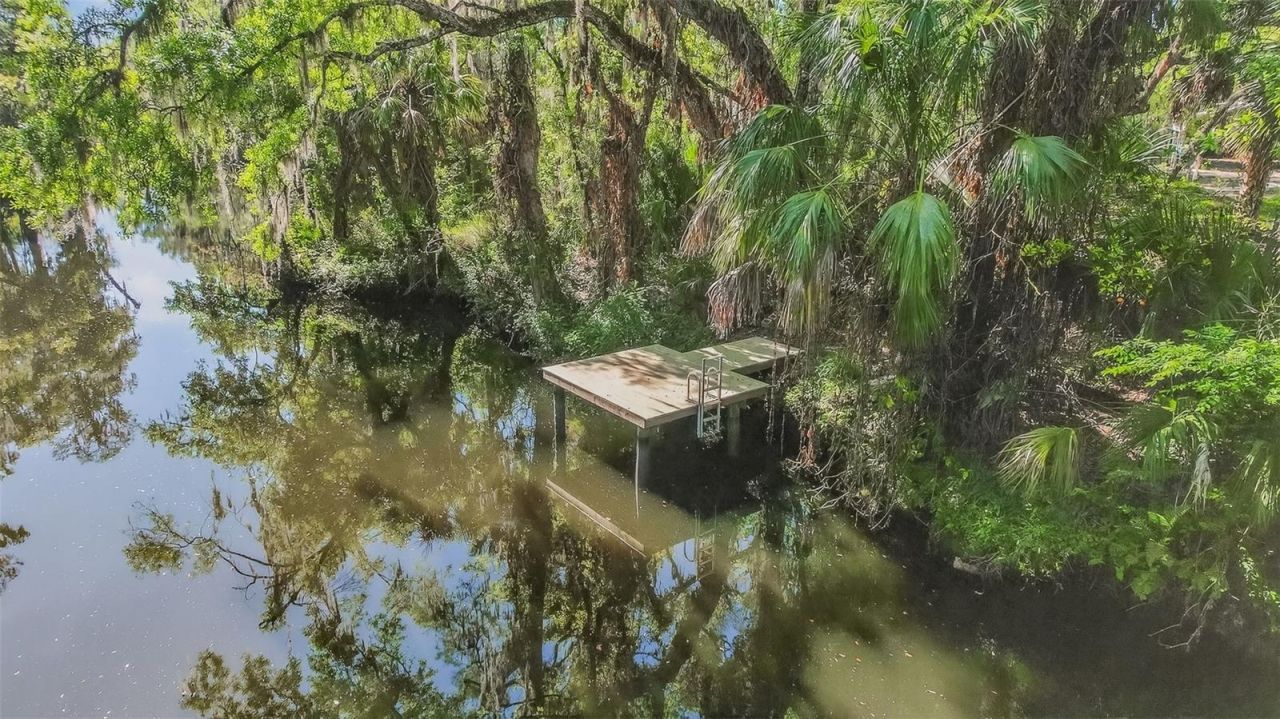 8312 Revels Road, Riverview, FL 33569 Photo