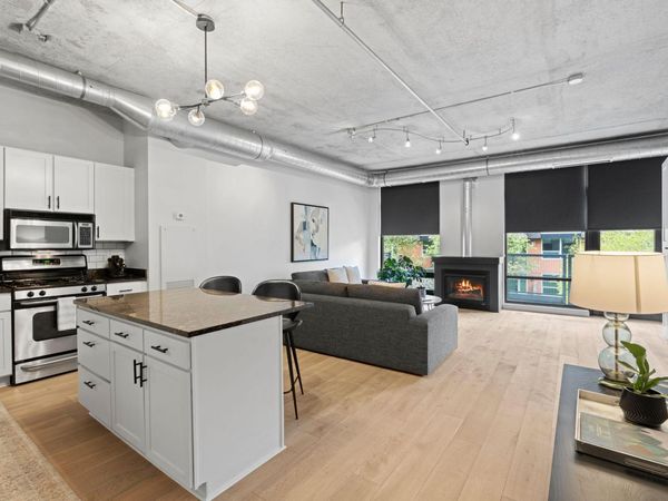 720 N 4th Street, Unit 213, Minneapolis, MN 55401