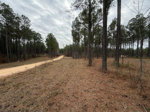 2A Bartlett Rd, Reagan, TN 38368