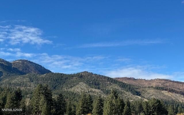 3150 Old Us Hwy 395 Highway, Washoe Valley, NV 89704 Photo