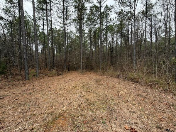 4 Bartlett Rd, Reagan, TN 38368