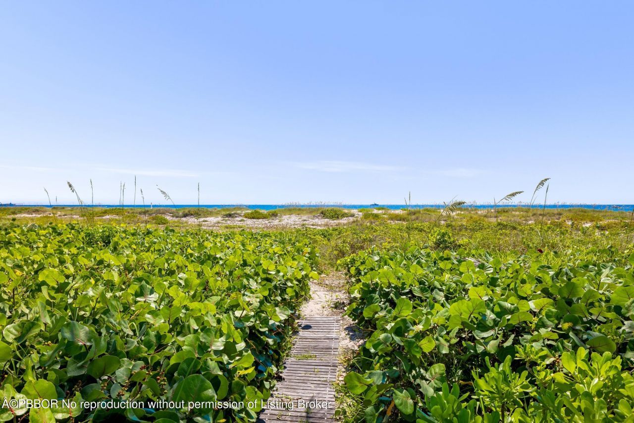 1446 N Ocean Boulevard, Palm Beach, FL 33480 Photo