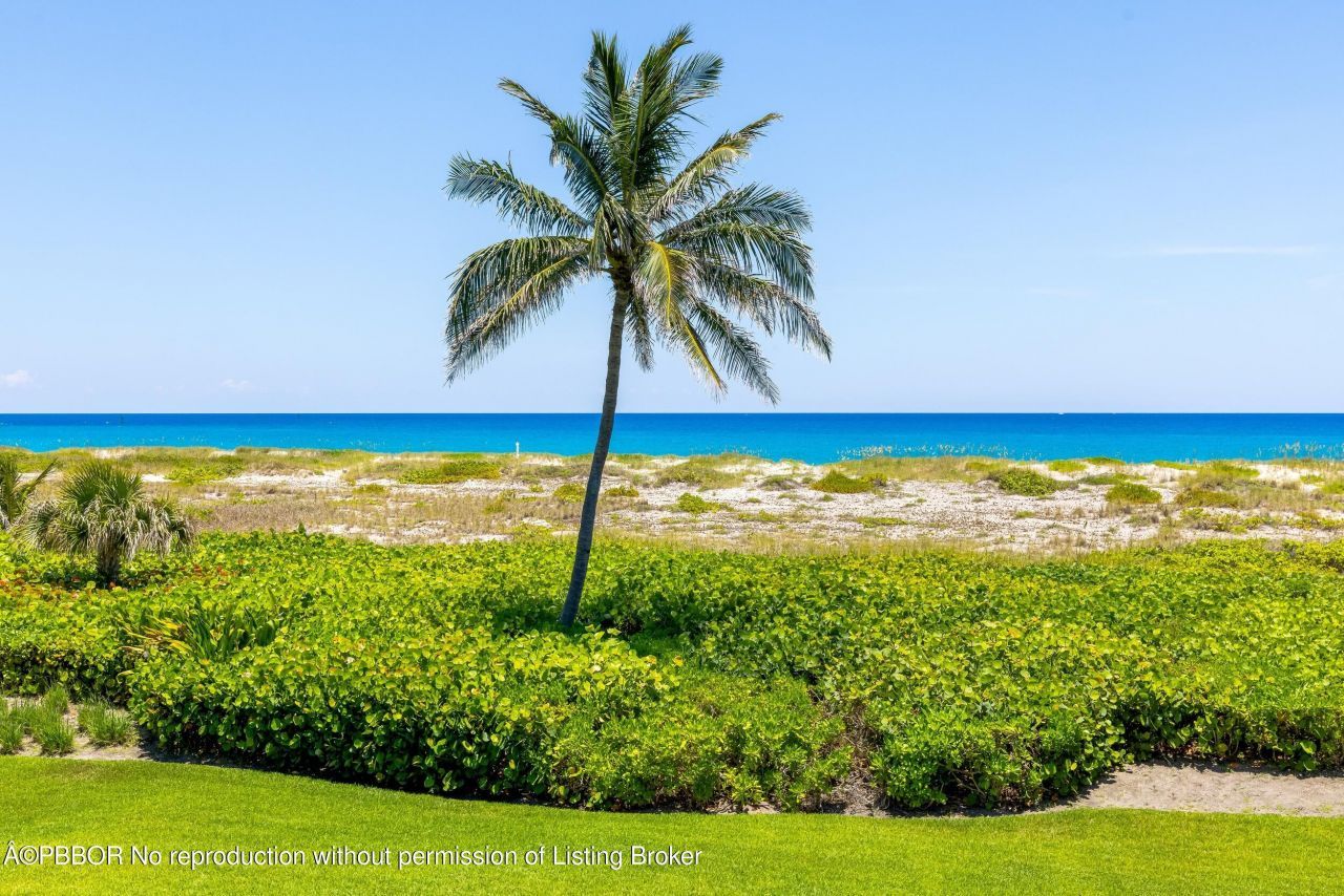 1446 N Ocean Boulevard, Palm Beach, FL 33480 Photo