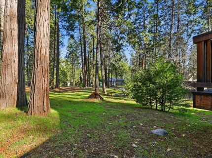 459 Dean Way, Arnold, CA 95223 Photo