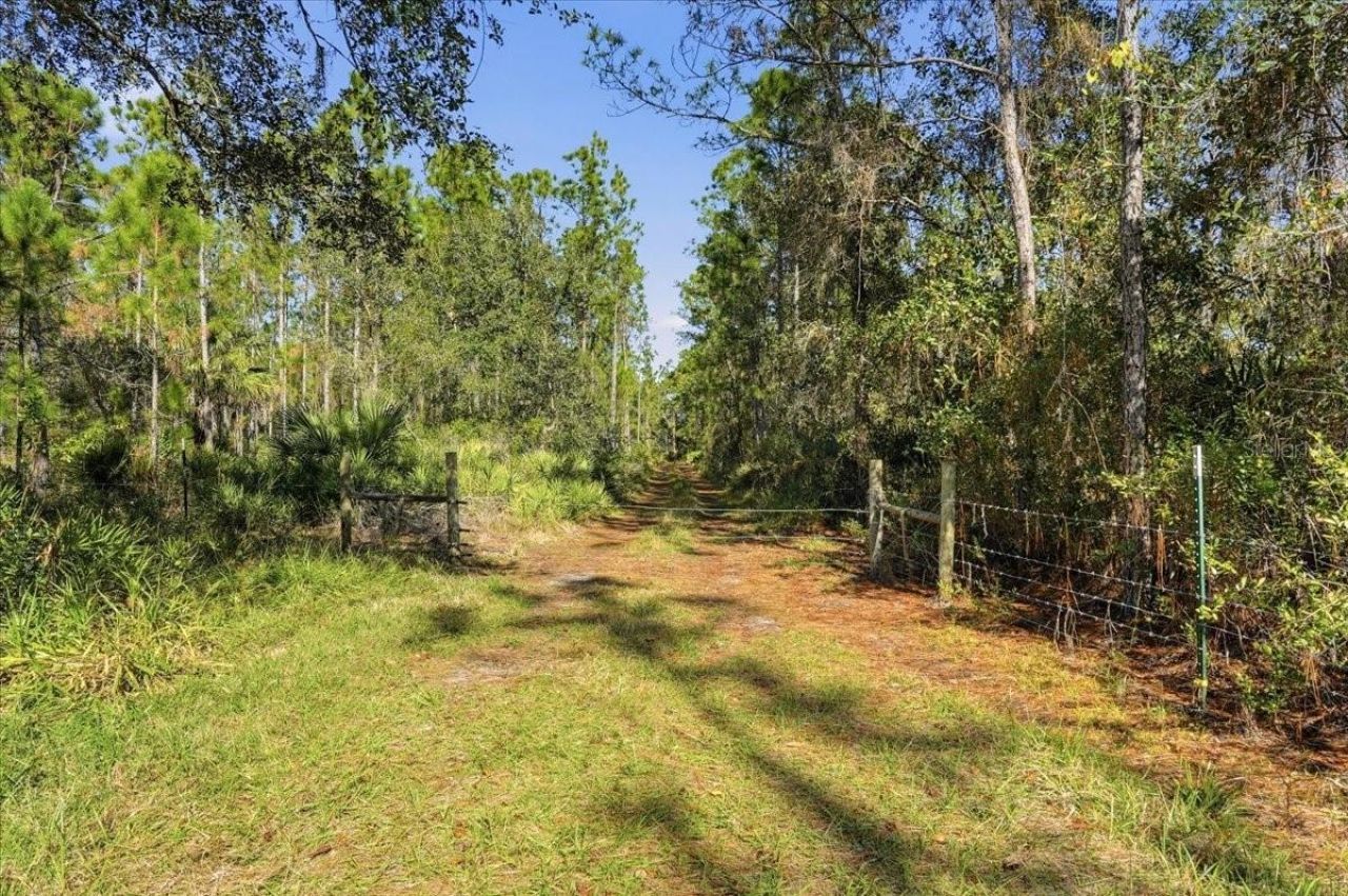 0 E State Road 60, Lake Wales, FL 33898 Photo