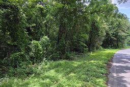 2729 Harlem Street photo 4