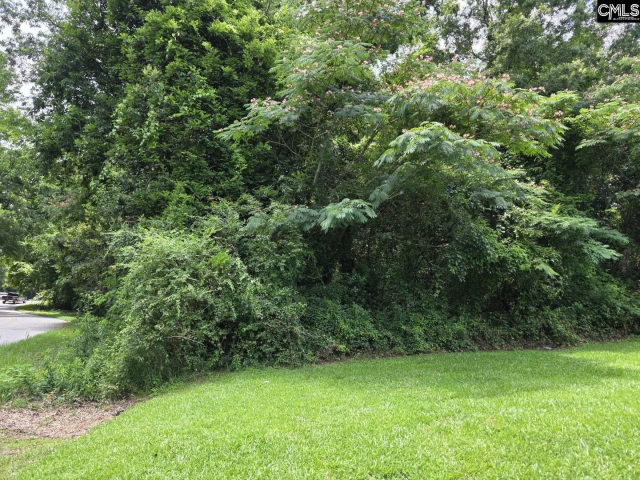 2729 Harlem Street Photo 4