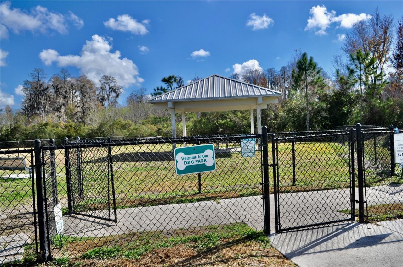 17945 Turning Leaf Circle, Land O Lakes, FL 34638 Photo