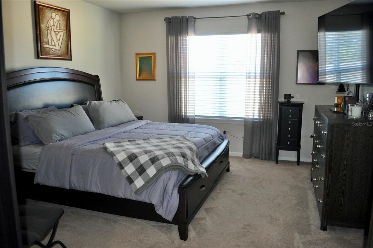 17945 Turning Leaf Circle, Land O Lakes, FL 34638 Photo