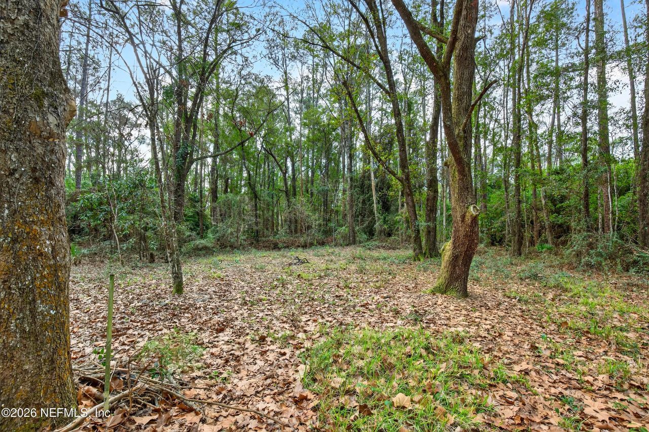 44561 Woodland Cir Circle, Callahan, FL 32011 Photo