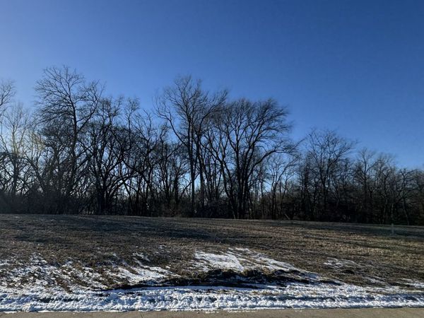 300 Mason Drive, Riverdale, IA 52722