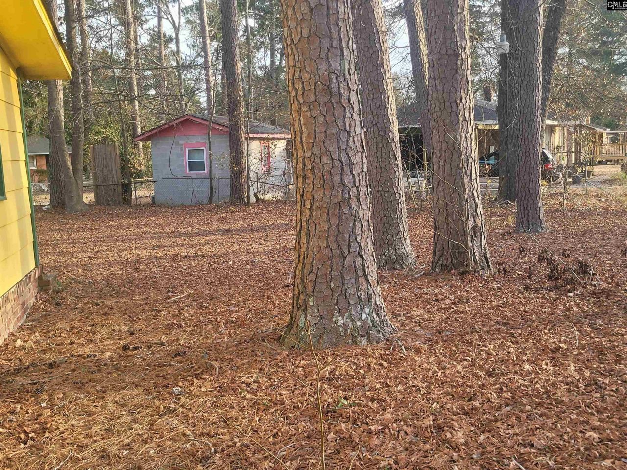 1834 Springfield Photo 8