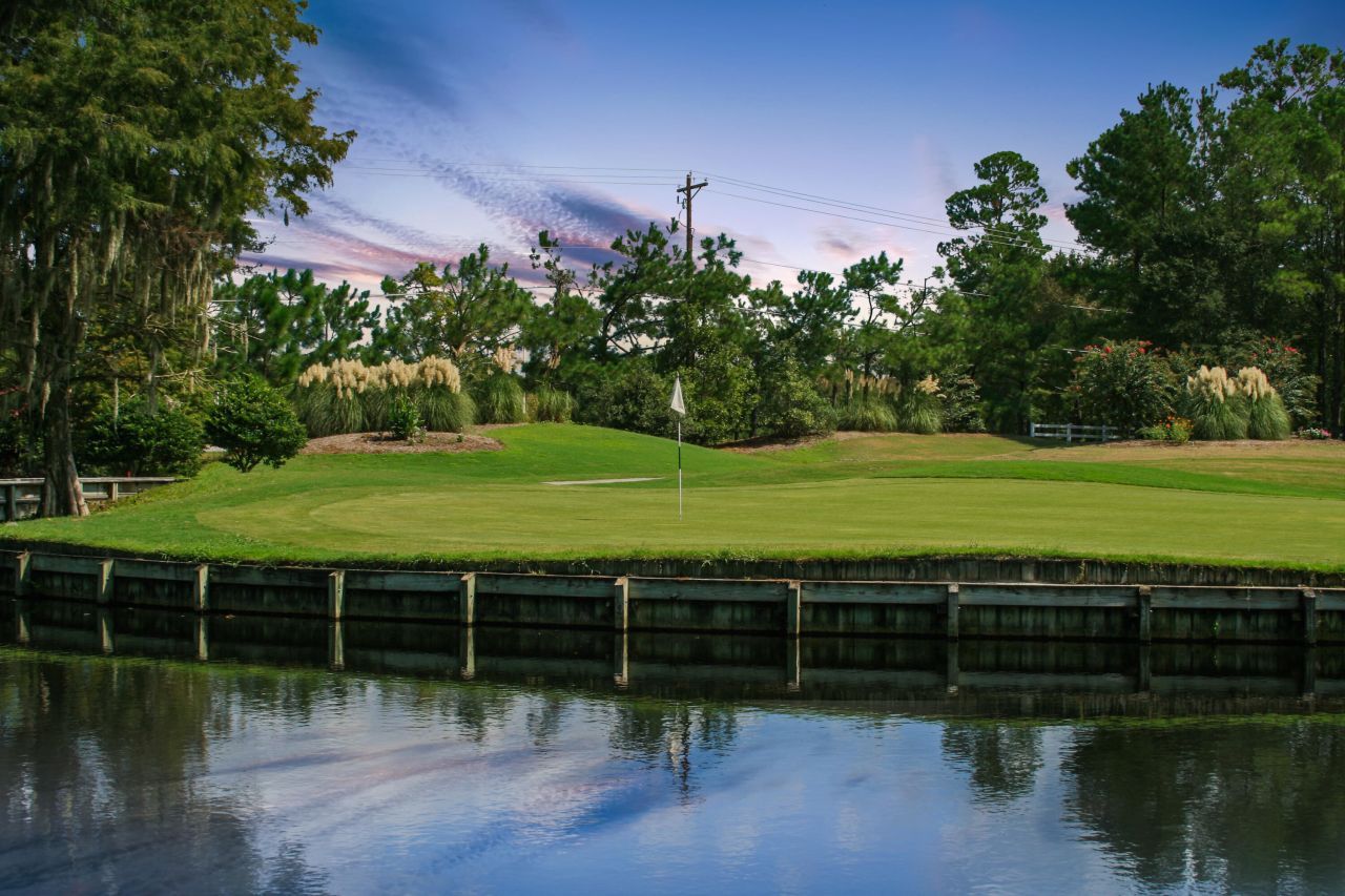 217 Carolinian Drive Photo 43