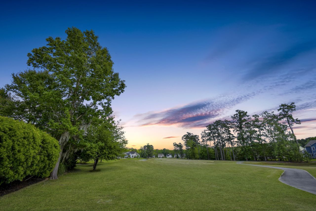 217 Carolinian Drive Photo 46