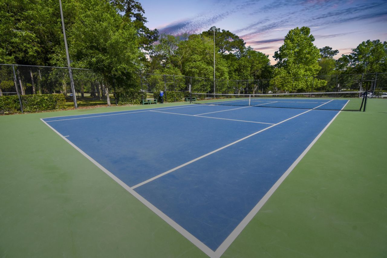 217 Carolinian Drive Photo 48