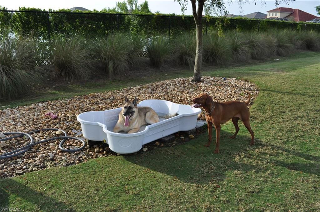 2655 Vareo Ct, Cape Coral, FL 33991 Photo