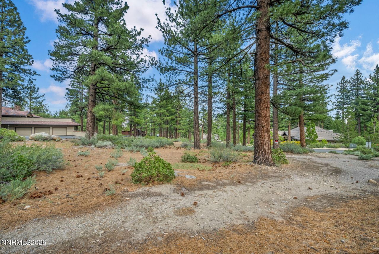 307 E Jeffrey Pine Road, Reno, NV 89511 Photo