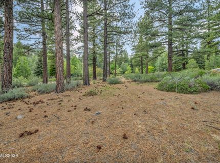 307 E Jeffrey Pine Road, Reno, NV 89511 Photo