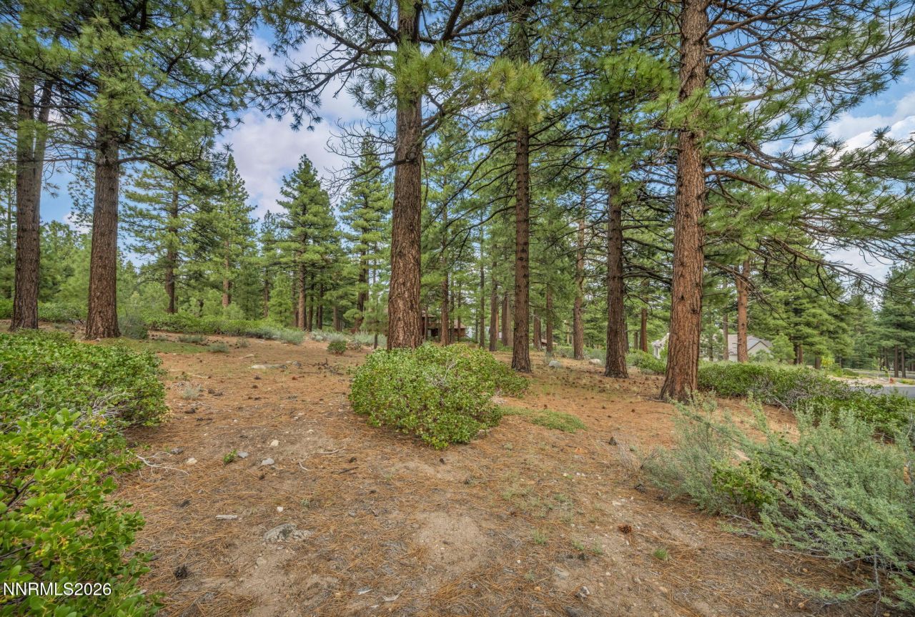 307 E Jeffrey Pine Road, Reno, NV 89511 Photo