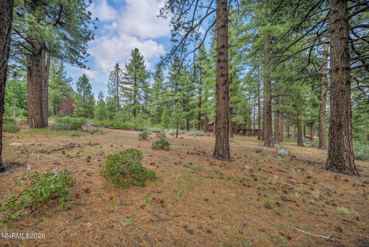 307 E Jeffrey Pine Road, Reno, NV 89511 Photo